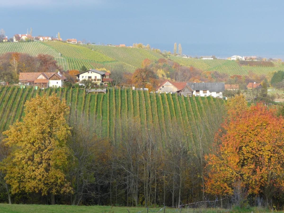 Auszeit Ferienhaus Fur 6 Personen ,Mit Grosser Terrasse Und Panoramablick, Turracher Hohe -A1 Haus 436 A Links- Esterno foto